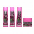 Alpha Line - Kit com 4 Produtos - Shampoo + Condicionador + Finalizador + Máscara - Linha Minuto Saudável Redução Radical (Para Controlar Volume)